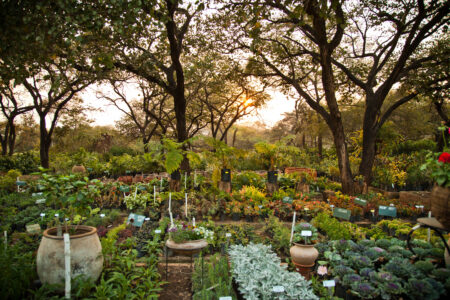 Permaculture Ethics Image